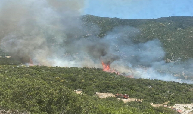 GÜNCELLEME - Kaş'ta çıkan orman yangını kontrol altına alındı