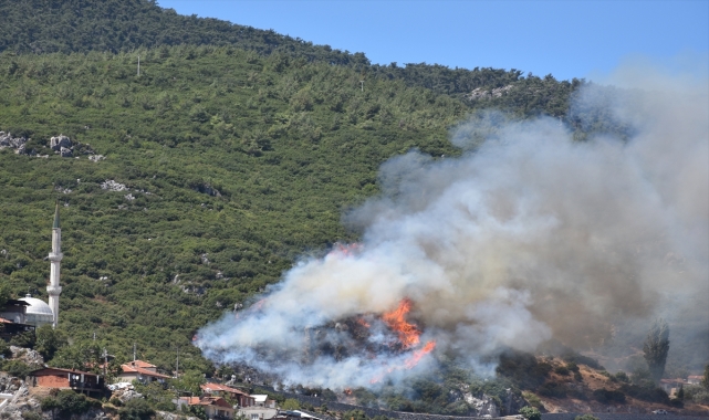 GÜNCELLEME - İzmir'in Kemalpaşa ilçesinde orman yangını çıktı