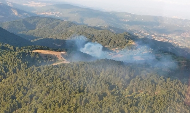 GÜNCELLEME - Balıkesir İvrindi'de çıkan orman yangını kontrol altına alındı