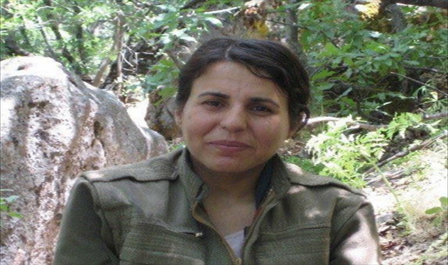 GÜNCELLEME - Gri kategoride aranan PKK'lı terörist Bitlis'te etkisiz hale getirildi