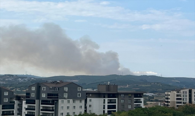 GÜNCELLEME - Bursa'da çıkan orman yangını kontrol altına alındı