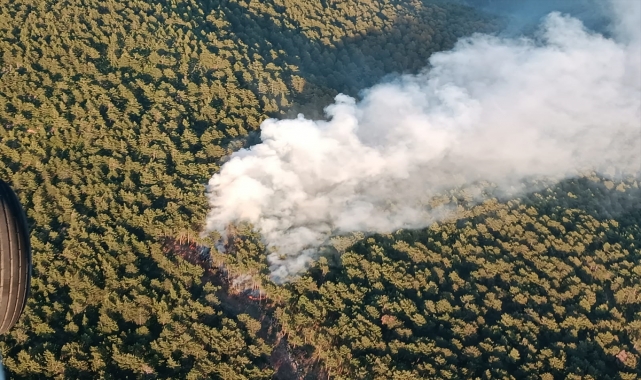 GÜNCELLEME - Hatay'da çıkan orman yangını kontrol altına alındı