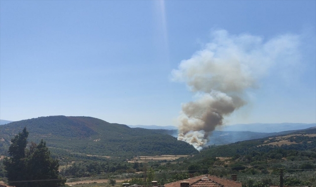 GÜNCELLEME - Manisa'nın Soma ilçesinde çıkan orman yangını kısmen kontrol altında