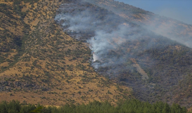 Kahramanmaraş'ta çıkan orman yangını kontrol altına alındı