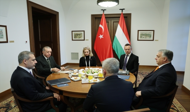 Cumhurbaşkanı Erdoğan'ın Macar mevkidaşı Novak ile görüşmesi