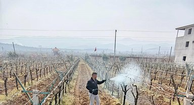 Bağlarda çiçek öncesi ilaçlama programı açıklandı