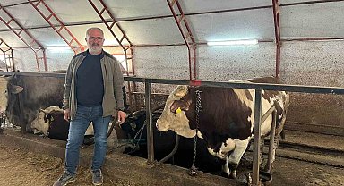 Artvin'de kurbanlıklar pazara çıkmayı bekliyor