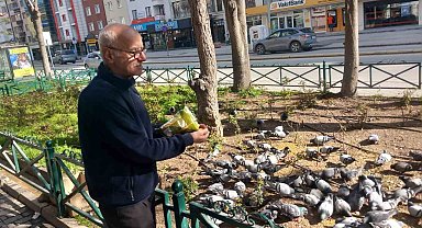 Dükkanının önüne gelen onlarca güvercini doyuruyor