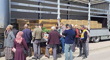 Kastamonu'da çiftçilere 147 bin adet sebze fidesi dağıtıldı