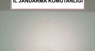 Kırşehir'de kaçak kazıya suçüstü: 2 gözaltı