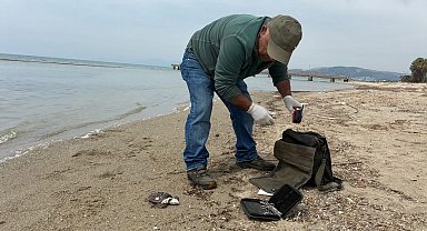 Kuşadası'nda iki deniz kaplumbağası ölü bulundu