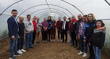 Sinop'ta özel bireylerden fide dikimi etkinliği