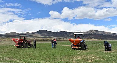 200 dekar suni merada üst gübreleme tamamlandı