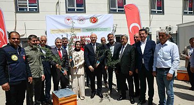 Adıyaman'da çiftçilere zeytin fidanı ve arılı kovan desteği