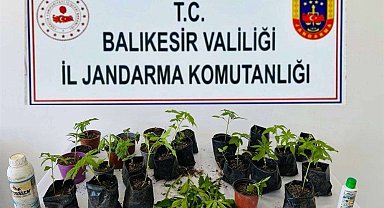 Balıkesir'de uyuşturucu operasyonlarında 64 şüpheli yakalandı