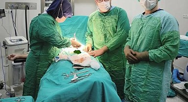 Bayburt'ta iki hastanın mesanesinden 27 taş çıkarıldı