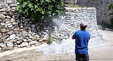 Bozdoğan'da haşereye karşı kireçleme çalışmaları sürüyor
