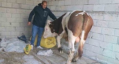Diyadin'de besicilik geçim kapısı oldu