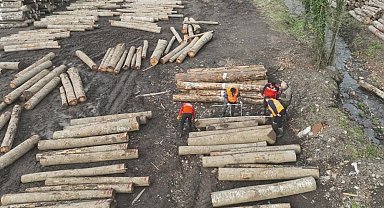 Düzce'den 3 bin 400 ton orman ürünü ihraç edildi