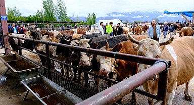 Erzincan'da hayvan pazarı hareketlendi: Sıkı pazarlıklar başladı