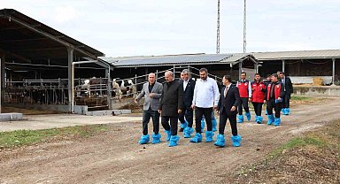 Kurban Bayramı öncesi hayvancılık işletmelerinde inceleme