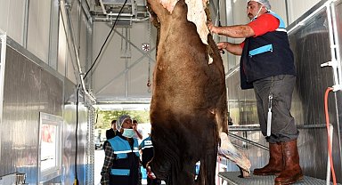 Kurban kesim kurallarına uymayanlara ceza yağacak