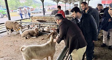 Şahin ve Çetinkaya'dan Kurban satış alanına ziyaret