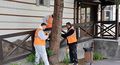 Talas'tan çevre dostu ilaçlama atağı
