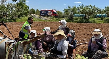 Tarım işçilerine serinleten ikram
