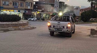 Yenipazar'da sivrisinek ve haşerelere karşı ilaçlama seferberliği