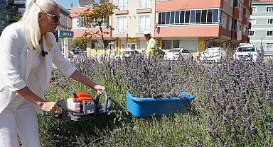 60 ülkeden 381 proje arasında Bilecik ve İstanbul yer aldı