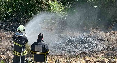 Antakya'da zeytinlik alan yangını