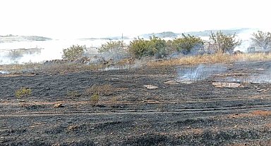 Antalya'da otluk alan yangını itfaiye ekiplerince söndürüldü
