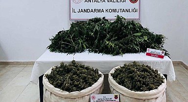 Antalya'da uyuşturucu operasyonunda 11 kilo 100 gram kubar esrar ele geçirildi