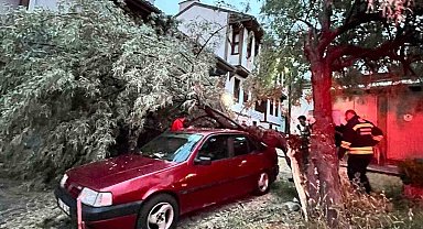 Araç üzerine düşen ağaç itfaiye ekiplerinin titiz çalışmasıyla kaldırıldı