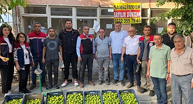 Aydın'da ilek pazarı denetimleri aralıksız sürüyor