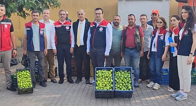 Aydın'ın dünya markası inciri için sahada yoğun mesai