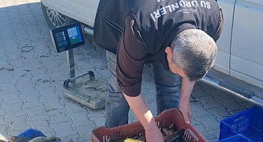 Beyşehir'de avcılara yakın takip