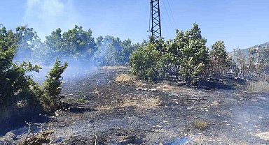 Bingöl'de çıkan orman yangını büyümeden kontrol altına alındı