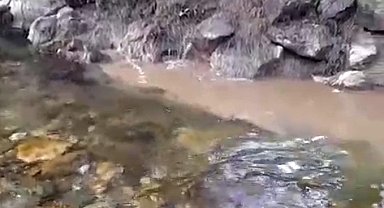 Bolu'da kanalizasyon sularının dereye karışmasına tepki