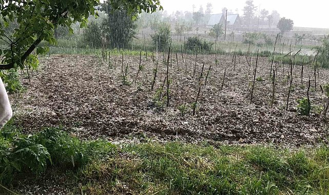 Bursa'da dolu… Keles'te tarım arazilerini dolu vurdu