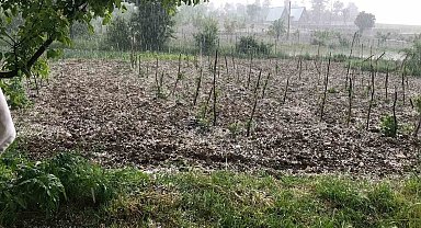 Bursa'da dolu… Keles'te tarım arazilerini dolu vurdu