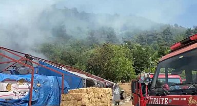 Bursa'da ormanlık alanda yangın