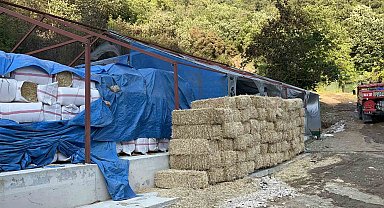 Bursa'daki orman yangınında 1 kişi gözaltına alındı