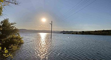 Çekerek Süreyya Bey Barajı'nda doluluk oranı yüzde 100'ün üzerine çıktığı için köyü yılanlar bastı