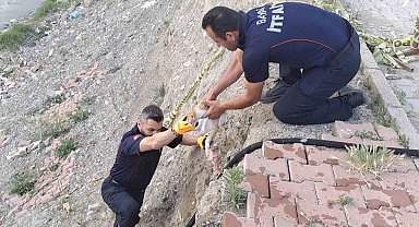 Çorum'da çaya düşen kediyi itfaiye kurtardı