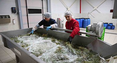 Efeler'in fabrikasında yaz mesaisi