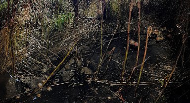 Elektrik direğinden sıçrayan kıvılcım yangın çıkardı