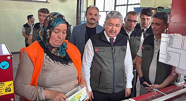 Eskişehir'den yangın bölgelerine gönderilen milyonlarca fidan 'nefes' olacak