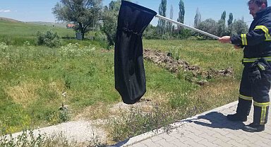 Eve giren yılanı itfaiye yakaladı